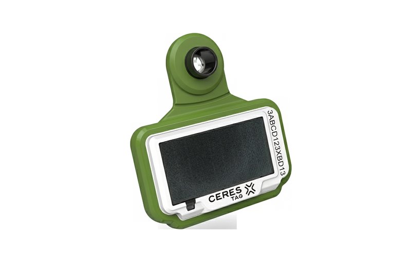Ceres GEN6 GPS Ear Tag