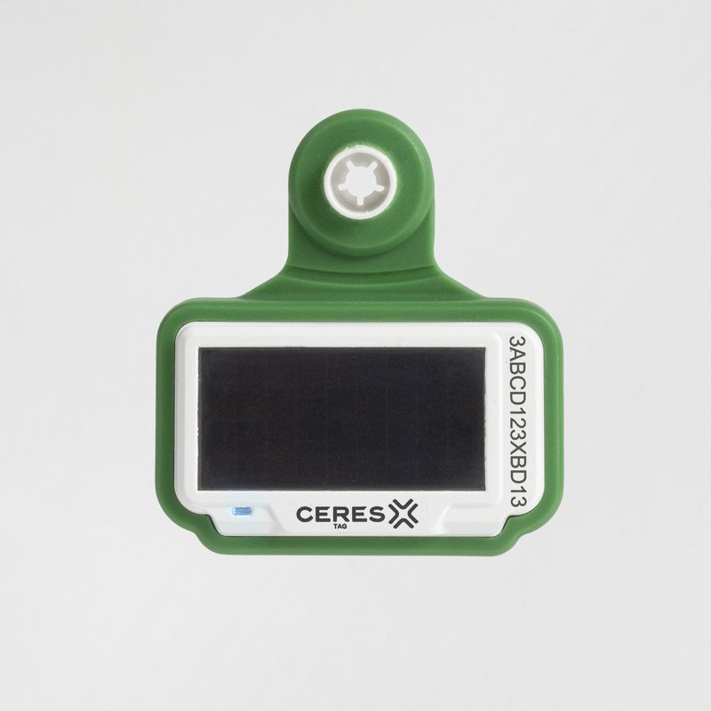 Ceres Rancher Ear Tag